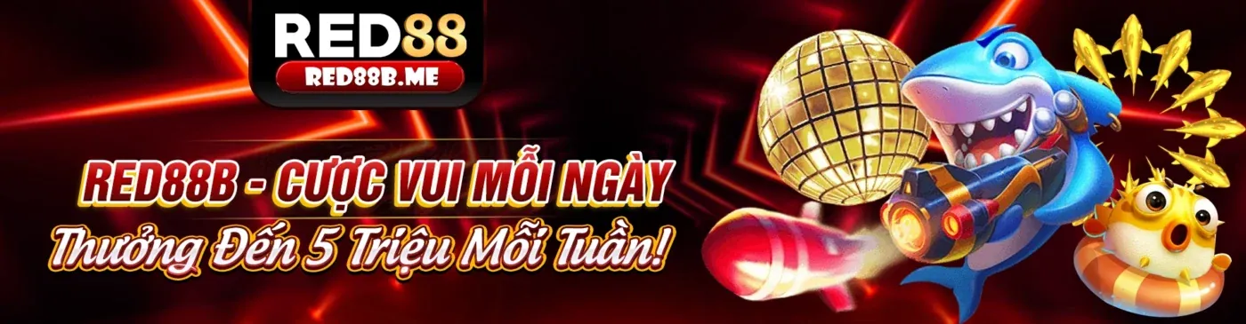 Chương Trình Hoàn Trả Casino no hu 28
