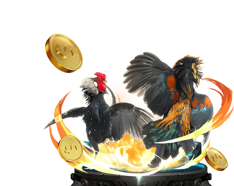 Hình ảnh minh họa chiến lược cá cược đá gà thông minh